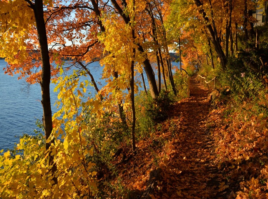 Shore Path Lake Geneva in Fall