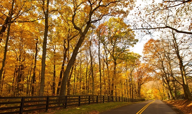 Living Here, October 23, 2024