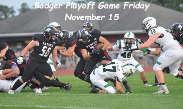 The Bright Side, November 13, 2024