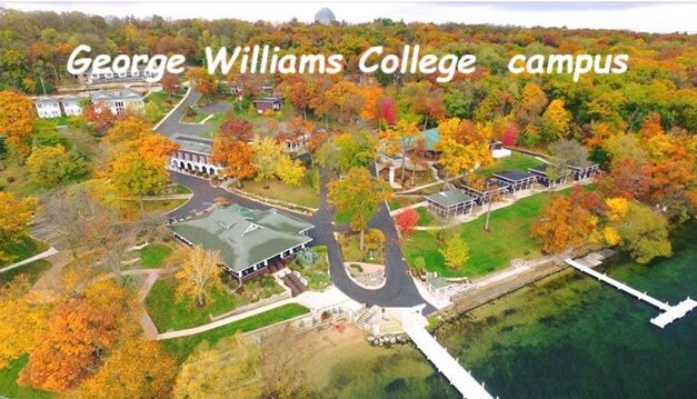 Surprising Stuff, November 13, 2024