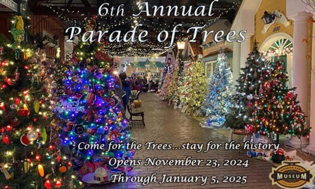 Surprising Stuff, November 6, 2024