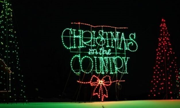 Little Gems, November 20, 2024