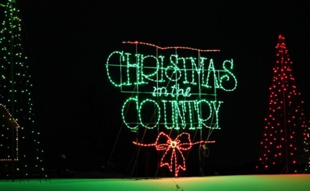 Little Gems, November 20, 2024