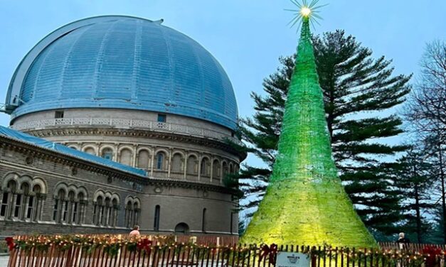 The Bright Side, November 20. 2024