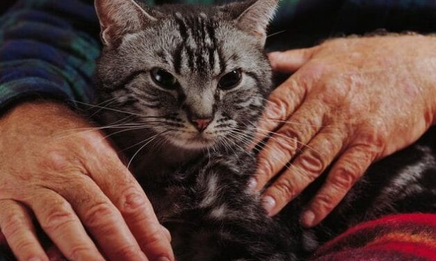 The Old Man’s Christmas, by James Strauss