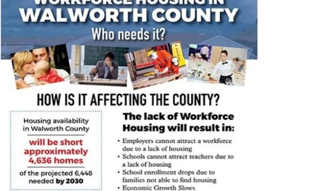 Little Gems, December 11, 2024