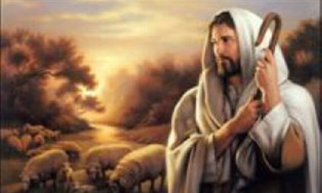 Opinion/Editorial, December 11, 2024