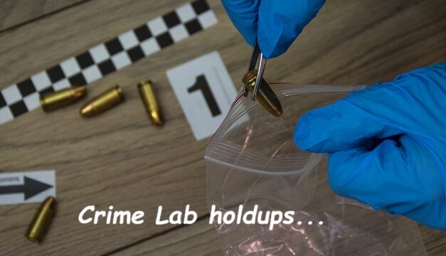 The Bright Side, December 11, 2024