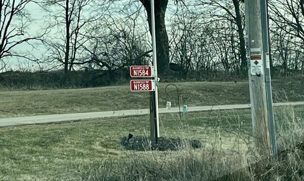 Our Place, December 18, 2024