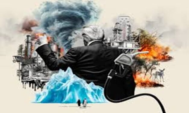 Opinion/Editorial, January 8, 2025