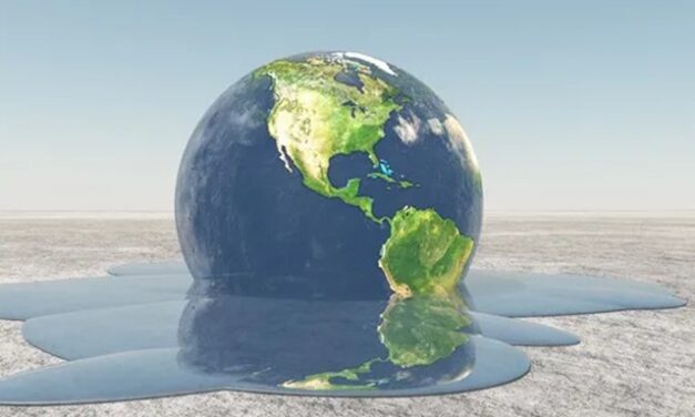 The Bright Side, January 8, 2025