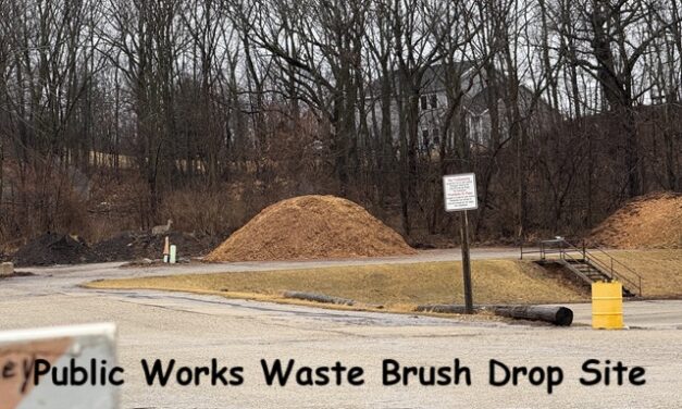 Surprising Stuff, March 5, 2025