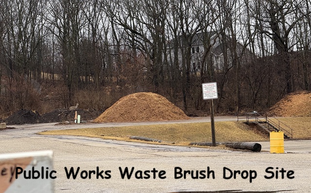 Surprising Stuff, March 5, 2025