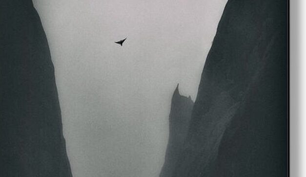 Opinion/Editorial, March 19, 2025