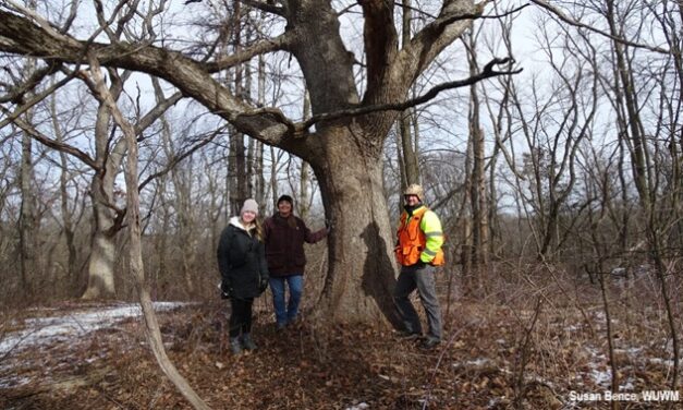 The Bright Side, March 19, 2025