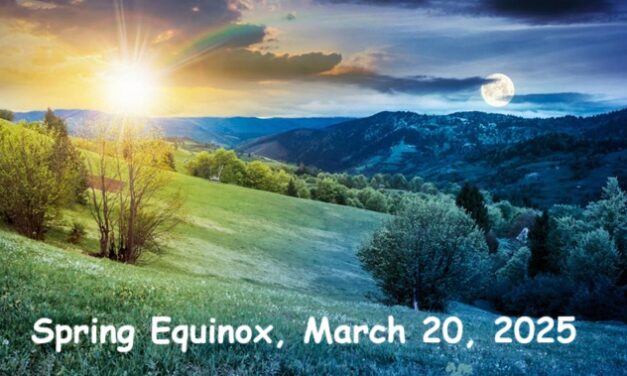 The Bright Side, March 12, 2025