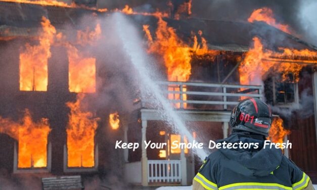 Little Gems, April 23, 2025