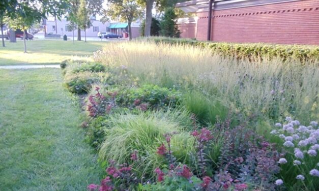 Living Here, May 14, 2025