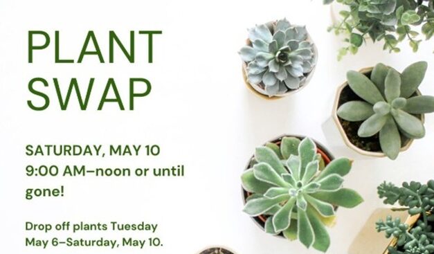 Little Gems, May 7, 2025