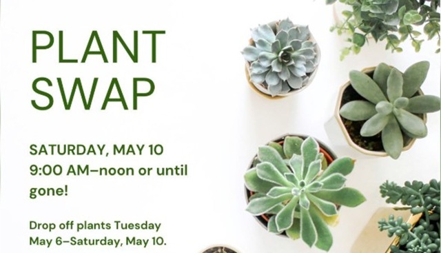 Little Gems, May 7, 2025