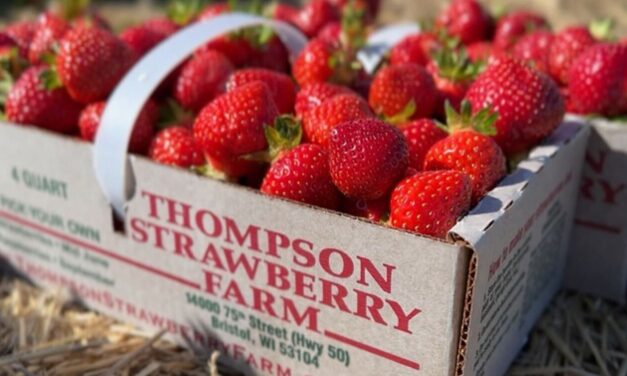 Our Place, June 25, 2025