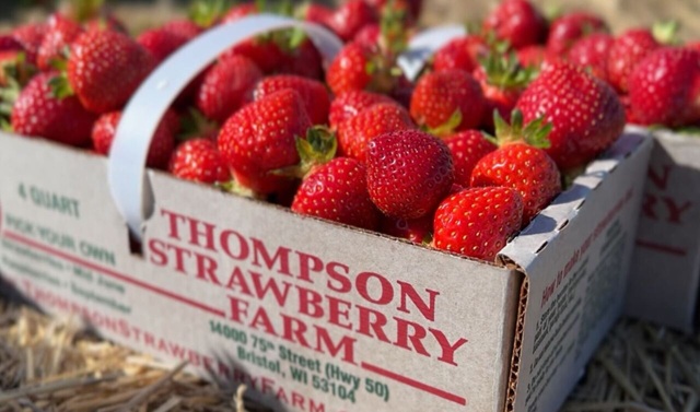 Our Place, June 25, 2025