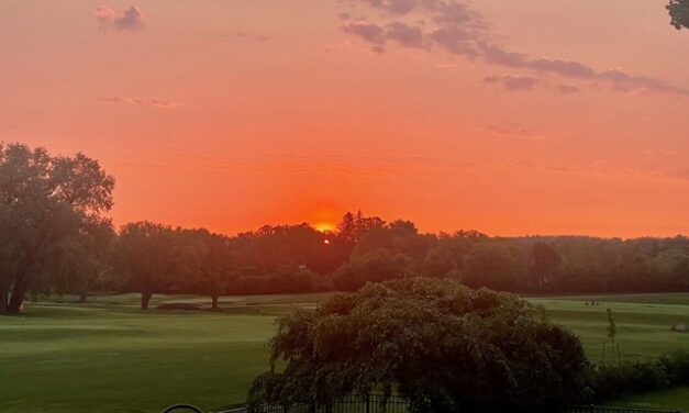 Living Here, August 20, 2025