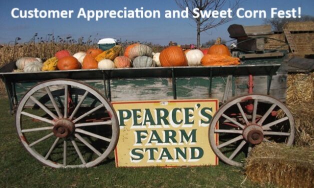 Little Gems, September 17, 2025