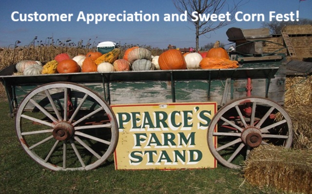 Little Gems, September 17, 2025