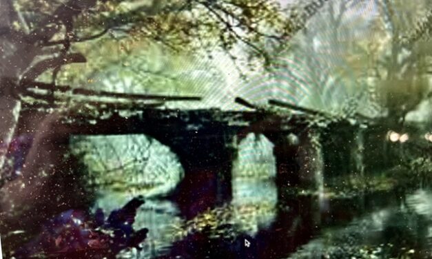 Opinion/Editorial, September 17, 2025