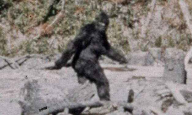 Our Place, October 8, 2025