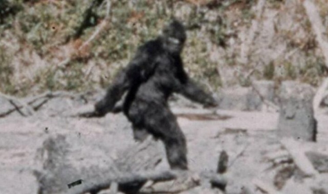 Our Place, October 8, 2025