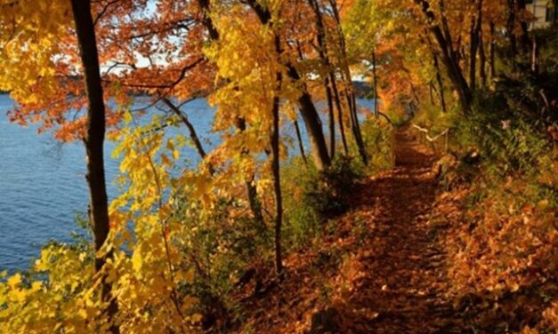 Little Gems, October 8, 2025