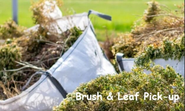 Little Gems, October 1, 2025