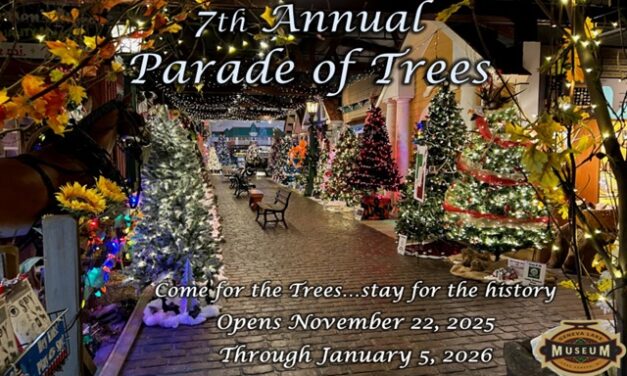 The Bright Side, November 5, 2025