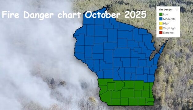 Living Here, November 19, 2025