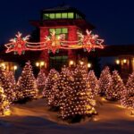 Our Place, November 19, 2025