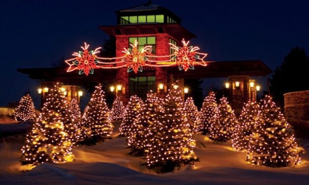 Our Place, November 19, 2025