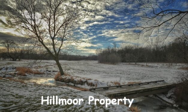 Front Page, November 12, 2025