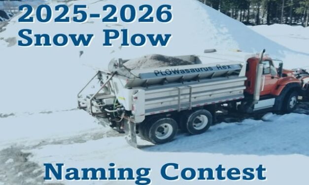 Little Gems, November 12, 2025