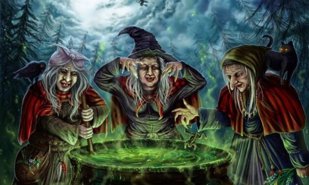 Front Page, November 19, 2025