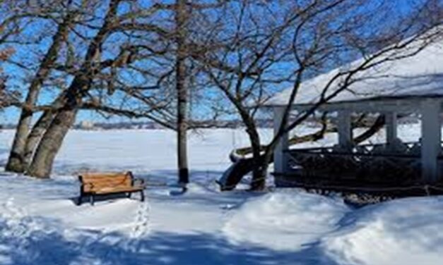 Our Place, December 17, 2025