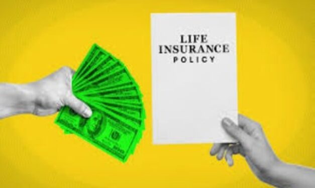 Little Gems, January 28, 2026