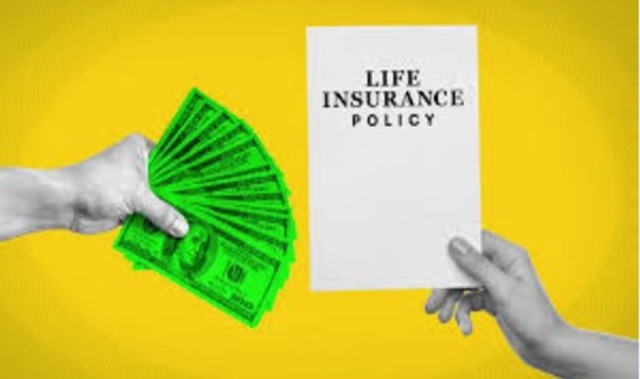 Little Gems, January 28, 2026