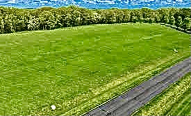 Front Page, February 4, 2026