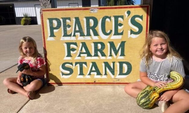 Surprising Stuff, February 18, 2026