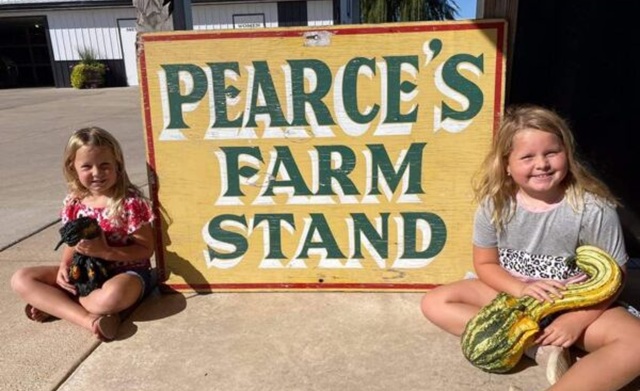 Surprising Stuff, February 18, 2026