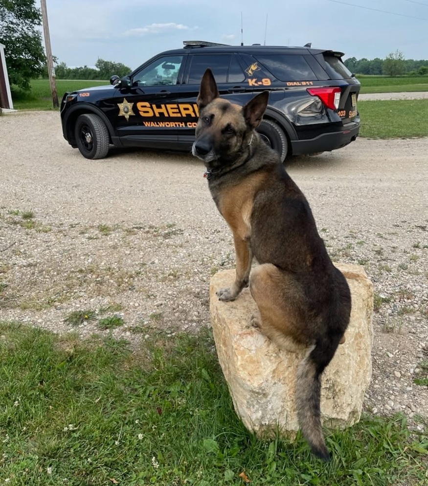 K9 Officer Klaas
