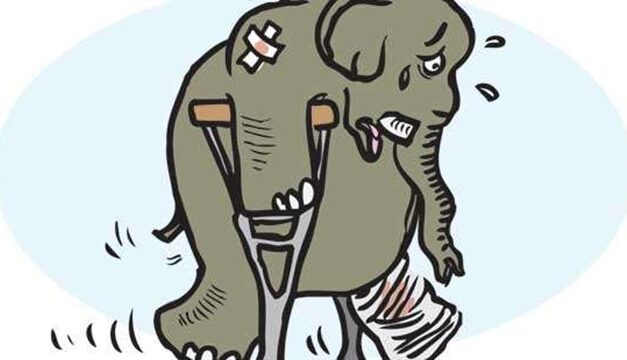 Opinion/Editorial, May 13, 2026