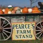 Our Place, September 12, 2026